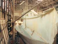 Yacht Side Constructed
